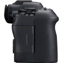 EOS-R6 MKII + RF24-105 F4 L IS USM Canon