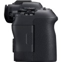 EOS-R6 MKII Canon