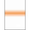 SW150 Filtre Coral Stripe 150X170 mm LEE Filters