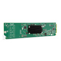 OG-ROI-SDI 3G-SDI to 3G-SDI/HDMI  AJA