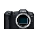EOS-R8 Canon
