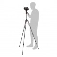 MVKBFRTC-LIVE Befree Live carbone M-Lock + rotule fluide Manfrotto