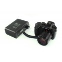BLF19P-D Batterie factice type Panasonic DMW-BLF19 alim DTap Lanparte