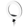 Round Vlogger 18-inch LED Set Economy with Bag - Black Caruba