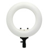 Round Vlogger 12-inch LED Set with Bag - Blanc