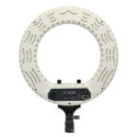 Round Vlogger 12-inch LED Set with Bag - Blanc Caruba