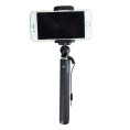 Selfie Stick Plug & Play - Rose Caruba