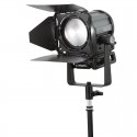 Sola 4+ Daylight Fresnel Litepanels