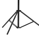 Lampstatief LS-8 (Luchtgeveerd) 270cm Caruba