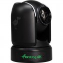 PTZ P4K Full NDI 4K - capteur Sony - Noir BirdDog