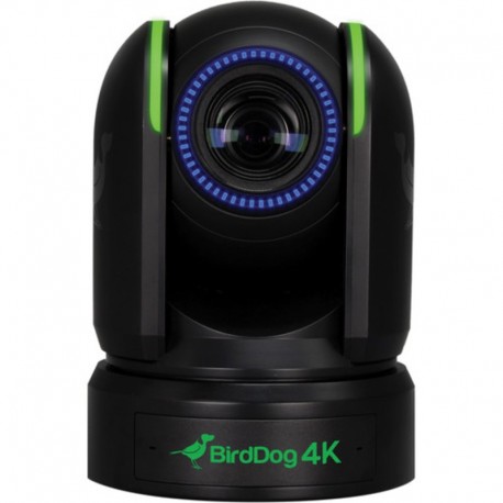 PTZ P4K Full NDI 4K - capteur Sony - Noir BirdDog