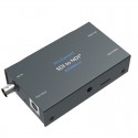 Pro Convert SDI TX Magewell