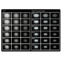 Speedlite V1 Nikon Godox