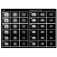 Speedlite V1 Nikon Accessories Kit Godox