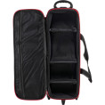 SL100Bi LED Video Light Two Light Kit Godox