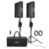Flexible LED Light FL100 Two-light Kit