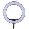 LR160 LED Ring Light Black