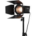 Forza 150B BiColor Nanlite