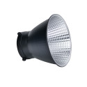 Amaran 100d S 5.600K Bowens 100W daylight Aputure