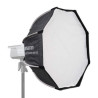 Amaran Light Dome Mini SE