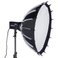 100W Daylight Point Source LED Sirui