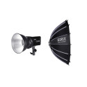 100W Daylight Point Source LED Sirui