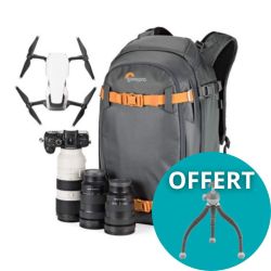 Whistler BP 350 AW II (Grey) LowePro