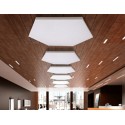 PAINT-HEXUS-48 - Paintable Plafond - 2 panneaux hexagonaux 120 cm PRIMACOUSTIC