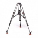 System Video S20 carbone charge max 28kg Sachtler