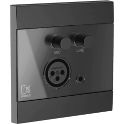 WP210-B - ARES - Panneau mural universel - mic/line - noir AUDAC