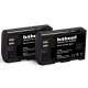 Pack 2 Batteries type LP-E6 1650mAh