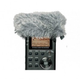 WS-11 Bonnette anti-vent série DR Tascam