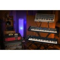 OCTOPRE - Clarett+ Octopre FOCUSRITE