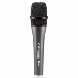 E865S - Micro supercardioide Sennheiser