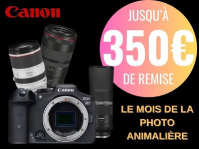 Le Mois de la Photo Animalière
